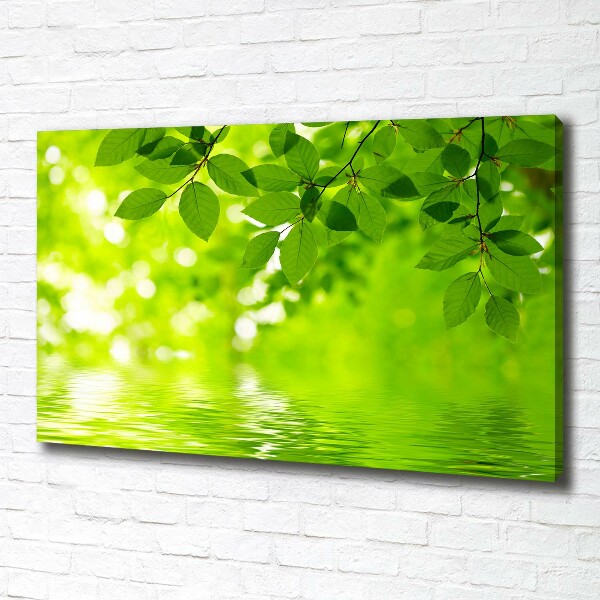 Canvas wall art Green leaves