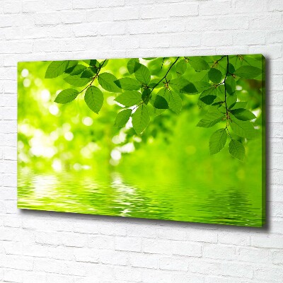 Canvas wall art Green leaves