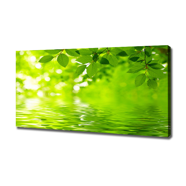 Canvas wall art Green leaves