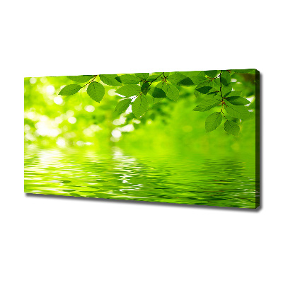 Canvas wall art Green leaves