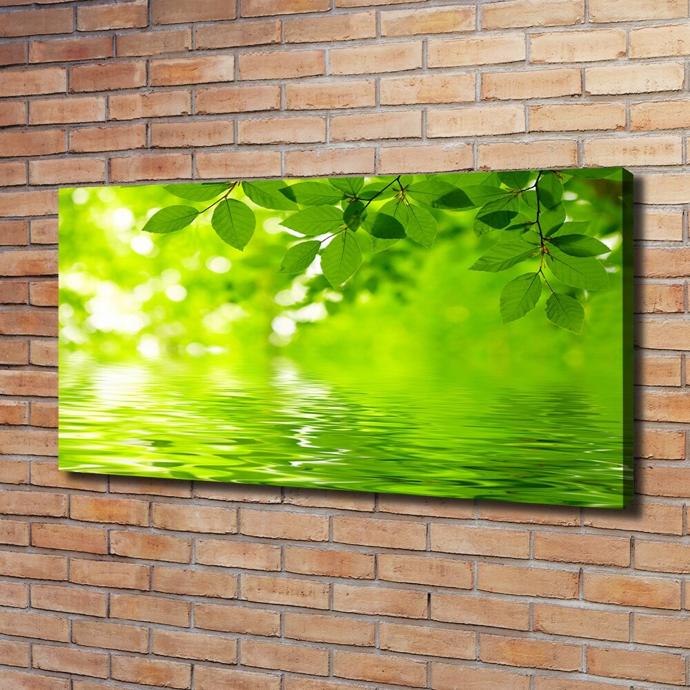 Canvas wall art Green leaves