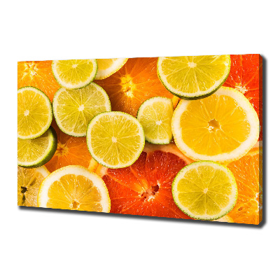 Canvas wall art Citrus fruits