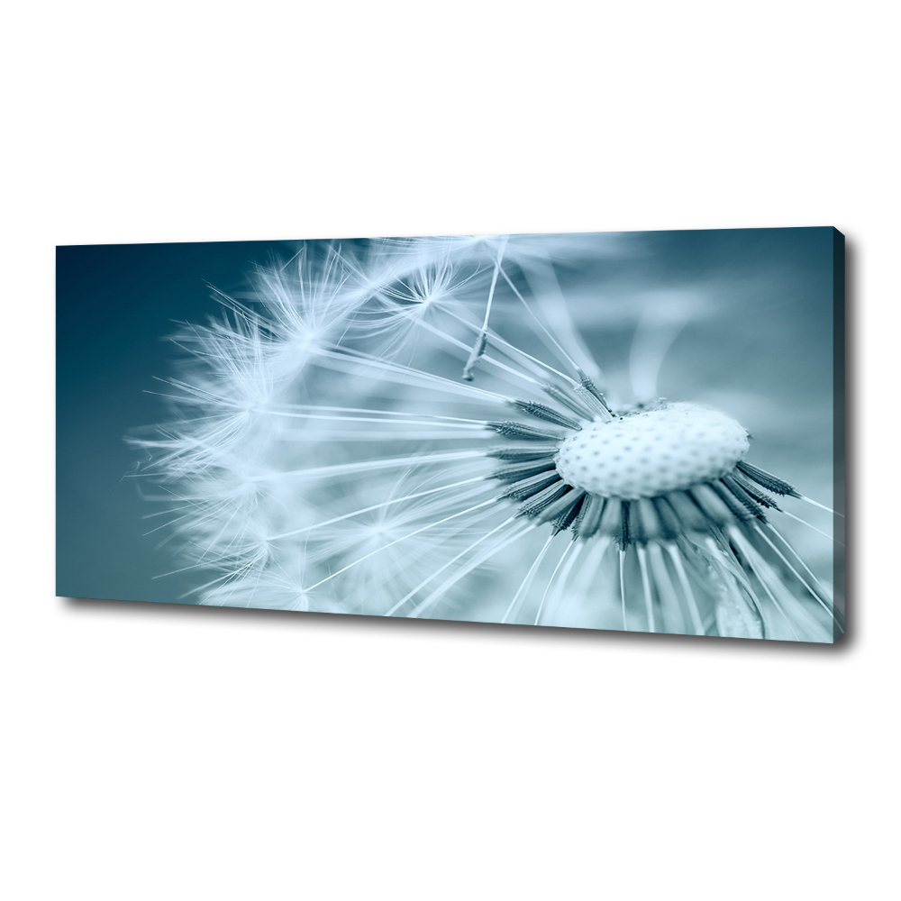 Canvas wall art Dandelion