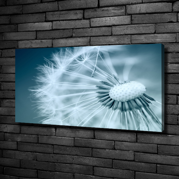 Canvas wall art Dandelion