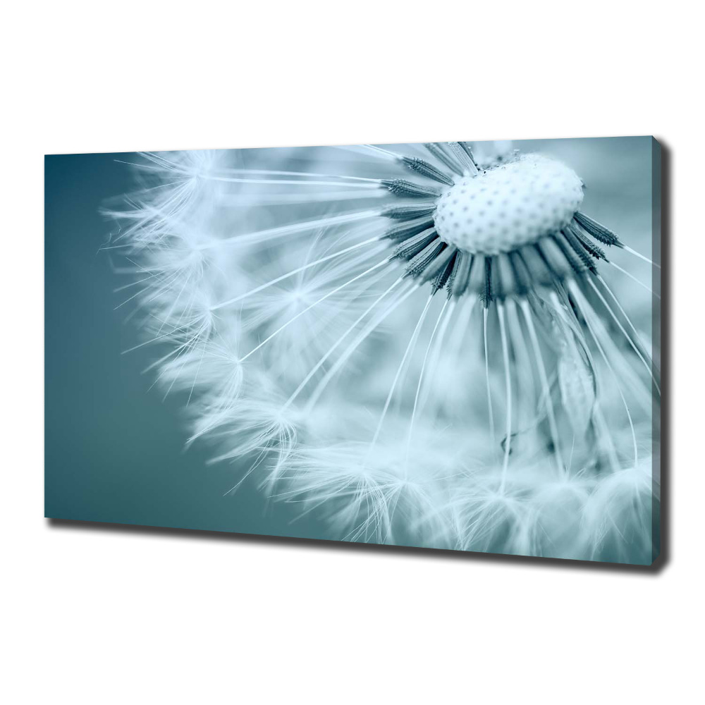 Canvas wall art Dandelion