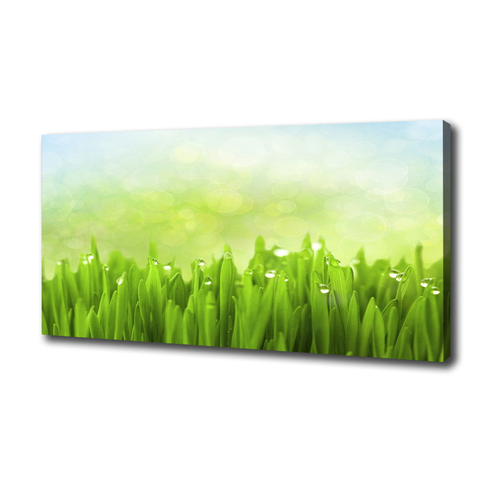 Canvas wall art Grass