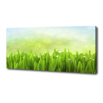 Canvas wall art Grass