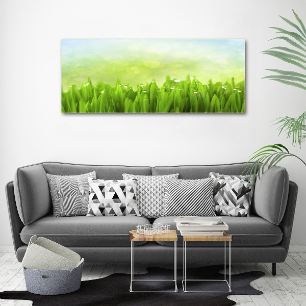 Canvas wall art Grass