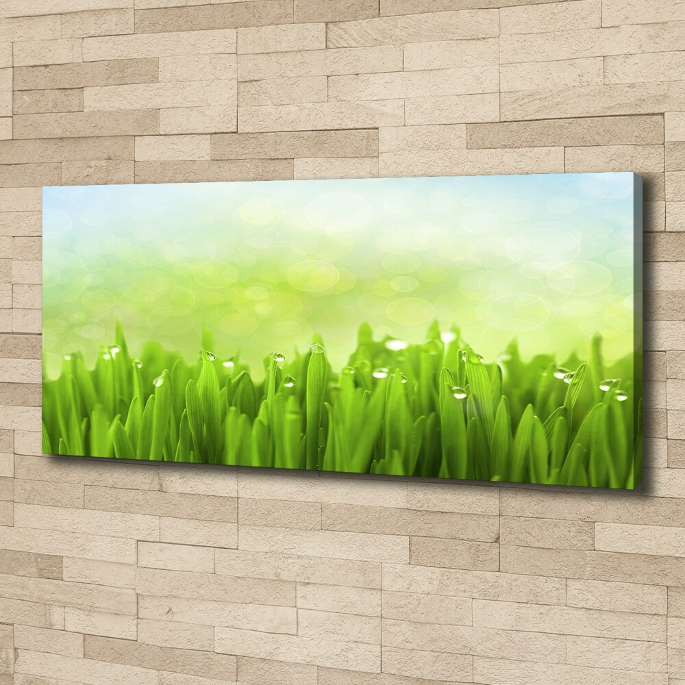 Canvas wall art Grass