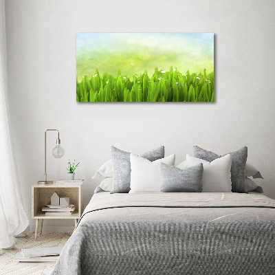 Canvas wall art Grass