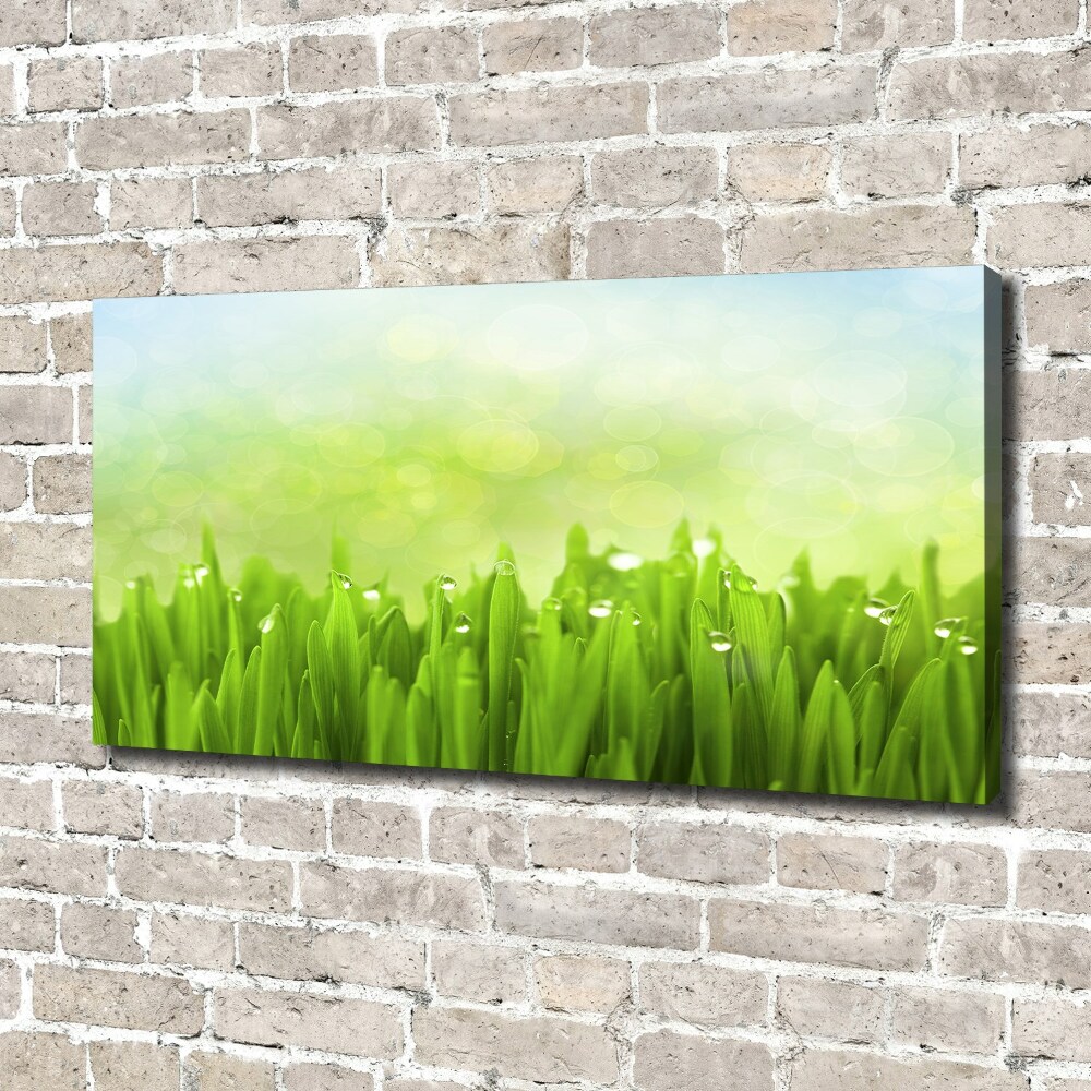 Canvas wall art Grass