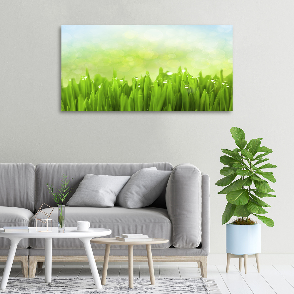 Canvas wall art Grass