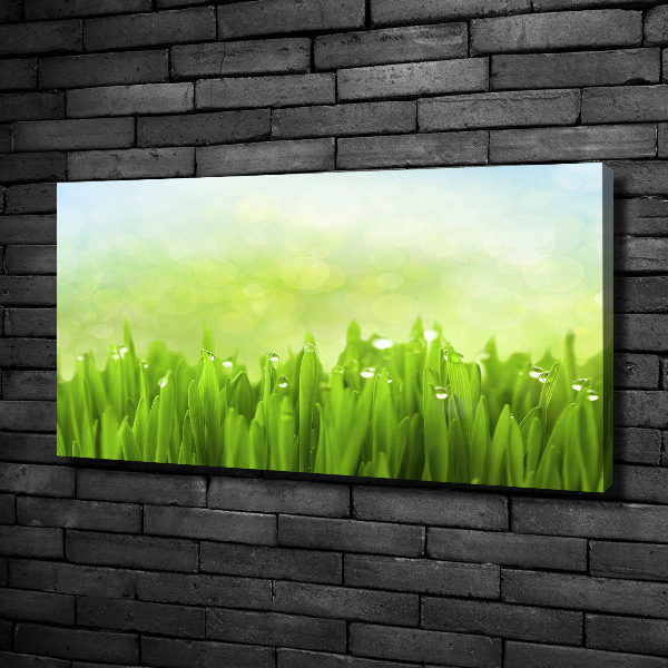 Canvas wall art Grass