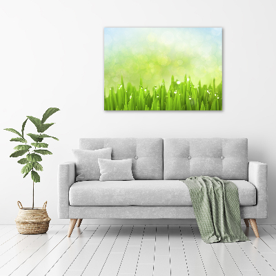 Canvas wall art Grass