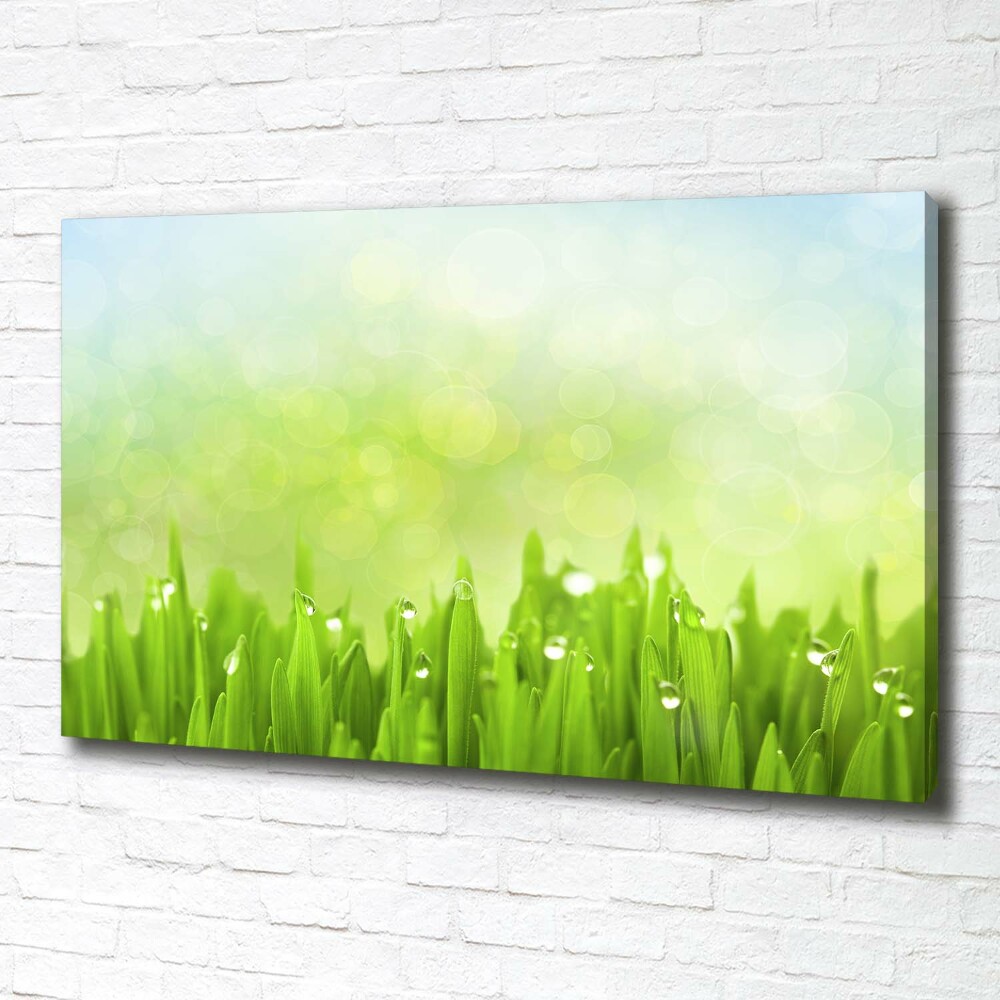 Canvas wall art Grass