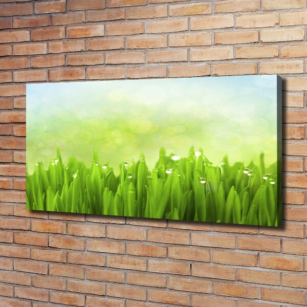 Canvas wall art Grass