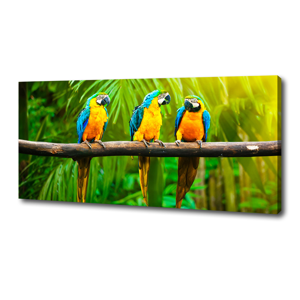 Canvas wall art Parrots on a branch