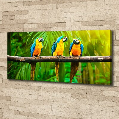 Canvas wall art Parrots on a branch