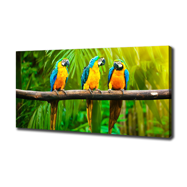 Canvas wall art Parrots on a branch