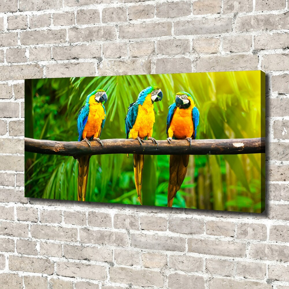 Canvas wall art Parrots on a branch