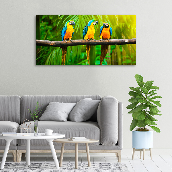 Canvas wall art Parrots on a branch