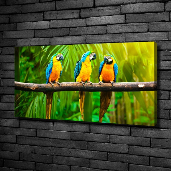 Canvas wall art Parrots on a branch