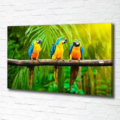 Canvas wall art Parrots on a branch