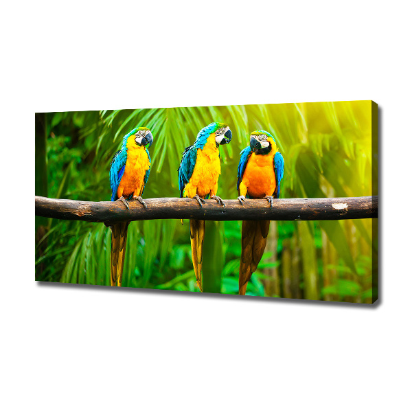 Canvas wall art Parrots on a branch