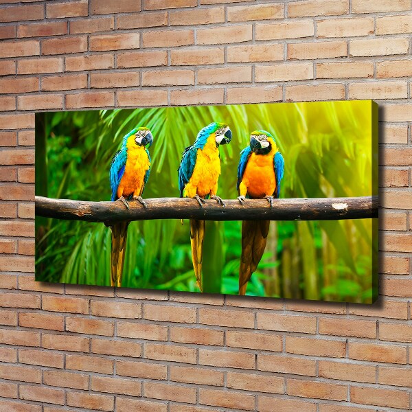 Canvas wall art Parrots on a branch