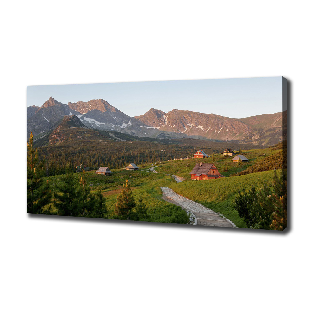 Canvas wall art Glade in the Tatra Mountains