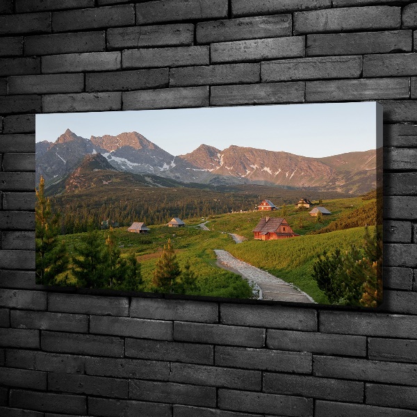 Canvas wall art Glade in the Tatra Mountains