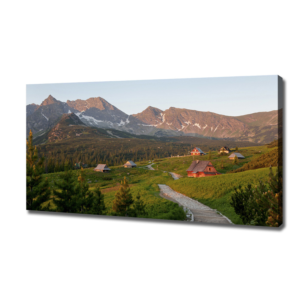 Canvas wall art Glade in the Tatra Mountains