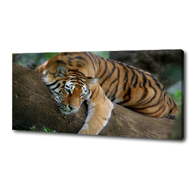 Canvas wall art Tiger on a tree