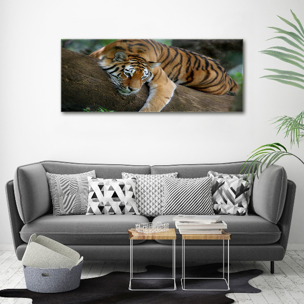 Canvas wall art Tiger on a tree