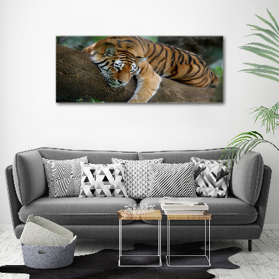 Canvas wall art Tiger on a tree