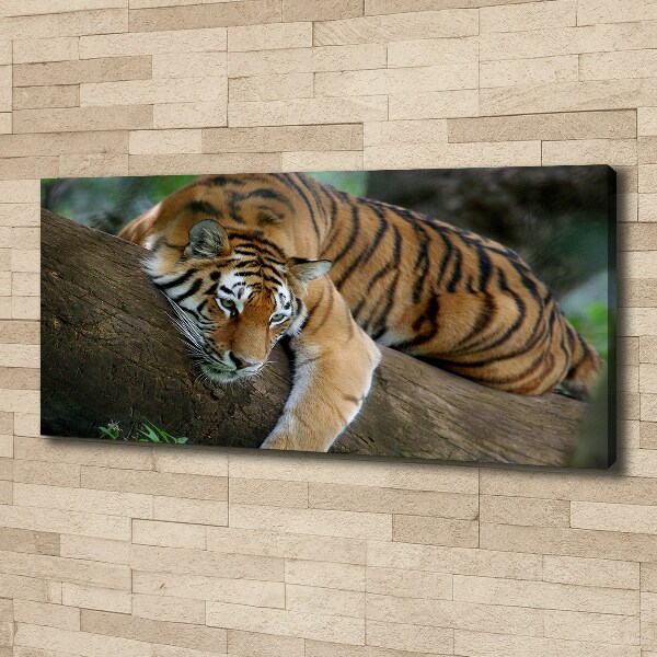 Canvas wall art Tiger on a tree