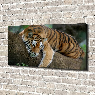 Canvas wall art Tiger on a tree