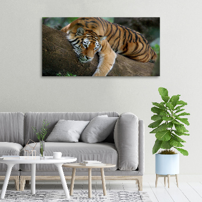 Canvas wall art Tiger on a tree