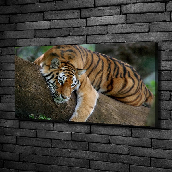 Canvas wall art Tiger on a tree