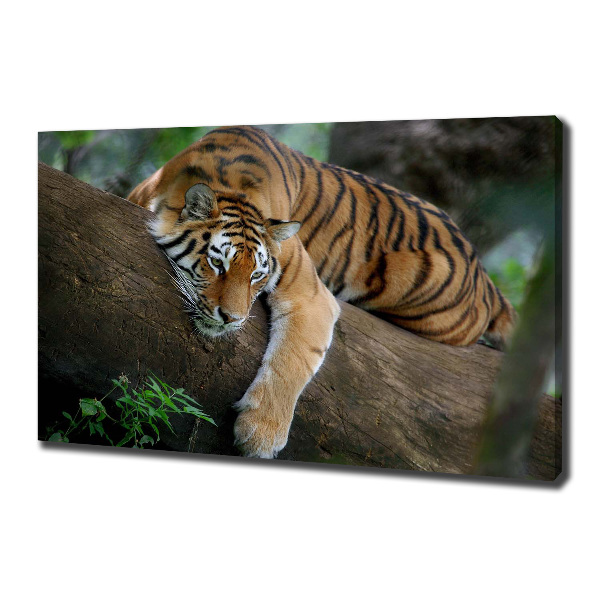 Canvas wall art Tiger on a tree