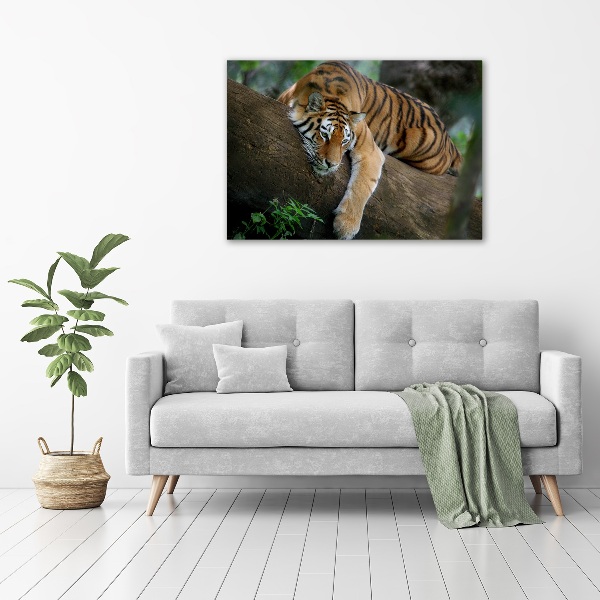 Canvas wall art Tiger on a tree