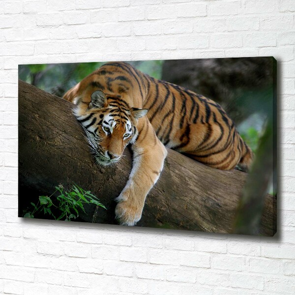 Canvas wall art Tiger on a tree