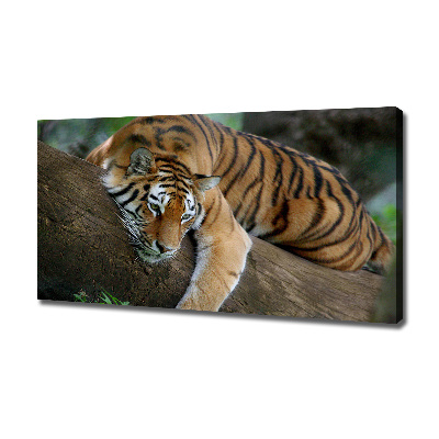 Canvas wall art Tiger on a tree