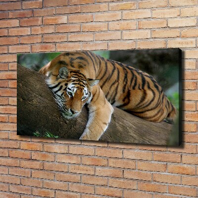 Canvas wall art Tiger on a tree