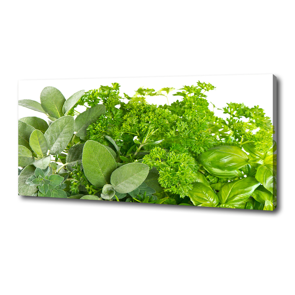 Canvas wall art Herbs