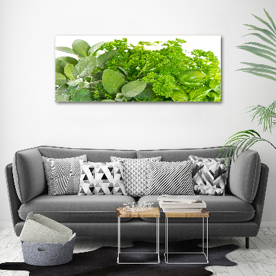 Canvas wall art Herbs