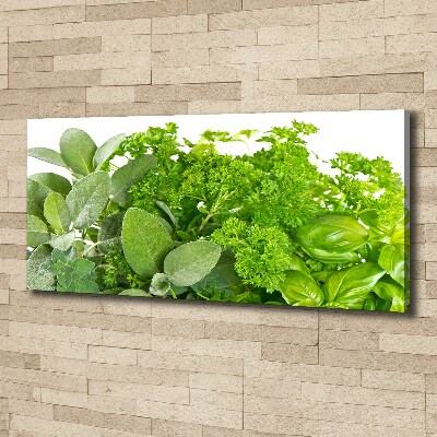 Canvas wall art Herbs