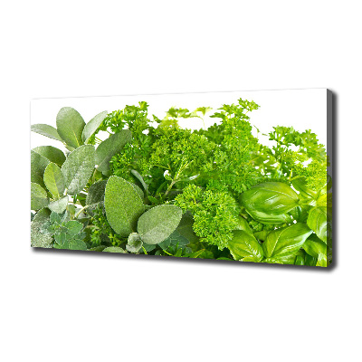 Canvas wall art Herbs