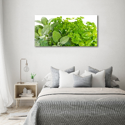 Canvas wall art Herbs