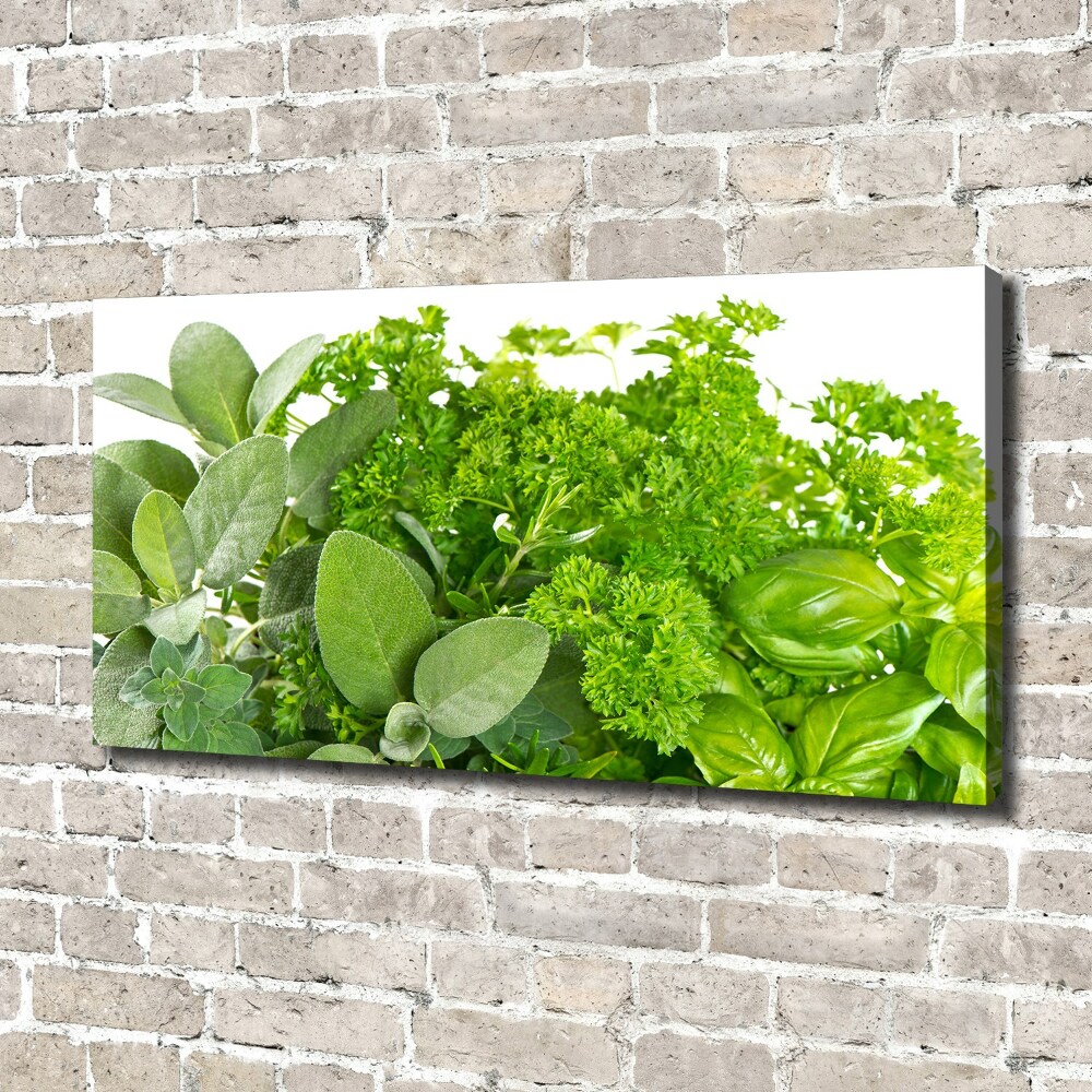 Canvas wall art Herbs